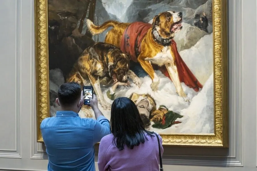 Alpine Mastiffs Reanimating a Distressed Traveler
