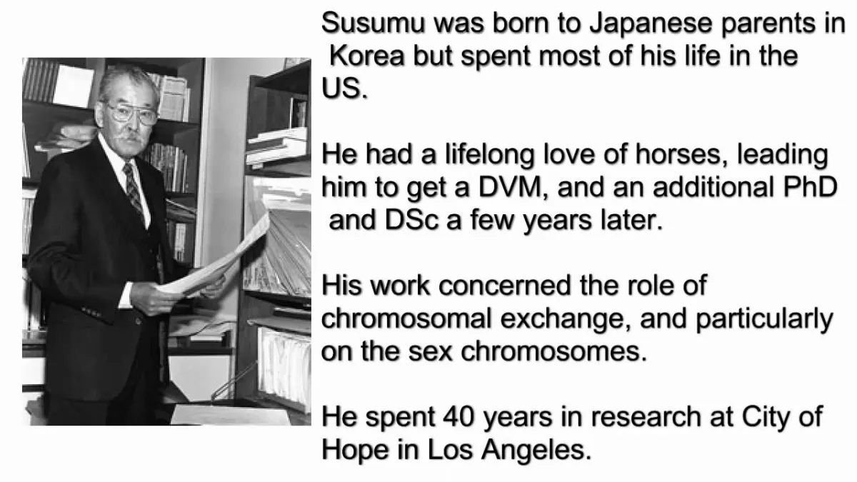 Susumu Ohno