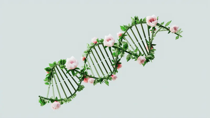 Scientists Spent Decades Calling 98% of Your DNA 'Junk' — They're Still Walking That Back